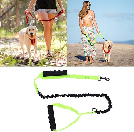 innovative dog leash