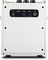 Positive Grid Spark MINI 10W Portable Guitar Amp Bluetooth Speaker Pearl view 3