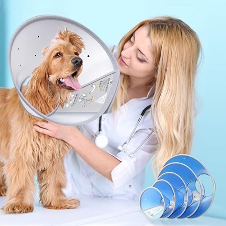 elizabethan dog cone