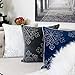 Homey COZY Embroidery Blue Velvet Throw Pillow Cover, Merry Christmas Series Snowflake Luxury Soft Fuzzy Cozy Warm Slik Gift Square Couch Cushion Pillow Case 20 x 20 Inch, Cover Only