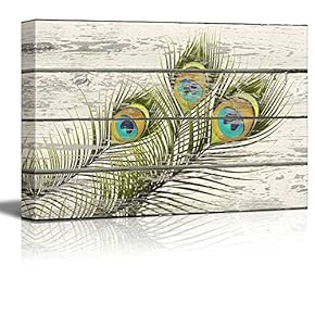 Colorful Peacock Feathers Starring - Canvas Art