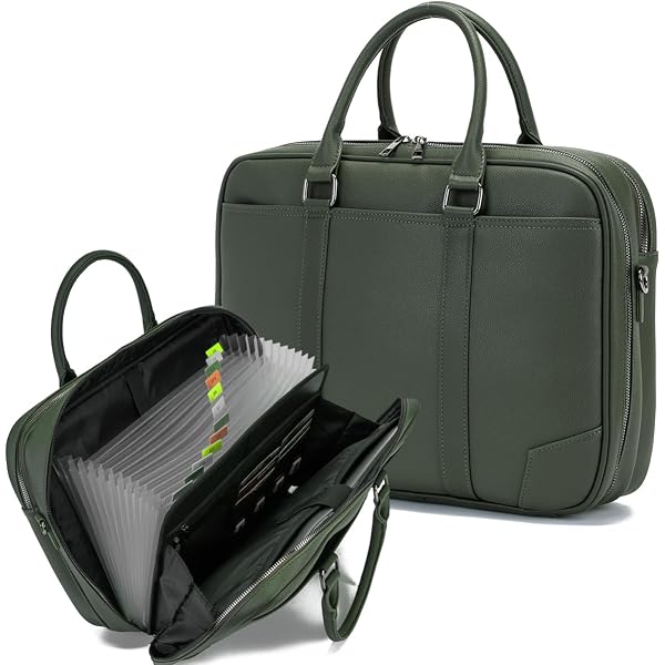 Amazon.com : Accordian File Organizer with Handle,briefcase,15.6