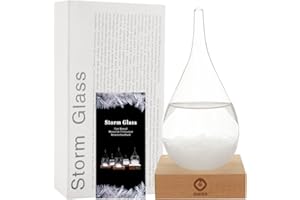 GM GMISS Storm Glass Weather Predictor,Christmas Snow Globe Storm Glass Barometer Weather Predictor, Home and Office Decorative Glass Bottles, Christmas Unique Gifts for Her