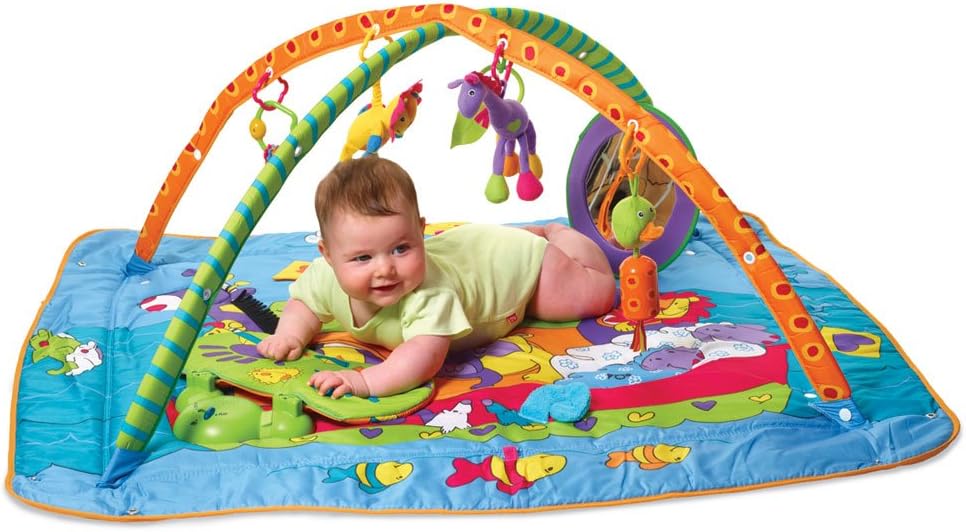 tiny love play gym