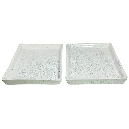Lasaki Rectangle Ceramic Plate Tray (Set of Two) planters Plants for Indoor Plants,Planters,Flower pots,gamla for Indoor,Outdoor,Succulent Pot.(Color:White) rec003