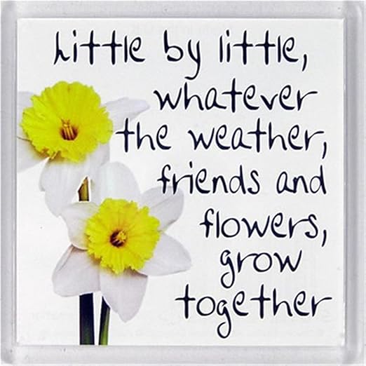 Poco a poco, sea cual sea el clima... Imán para nevera 186: Amazon ...