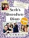 Seth's Broadway Diary, Volume 3 by Seth Rudetsky
