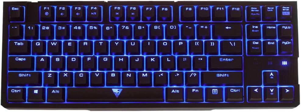 iNSIST G55 Mechanical Cherry MX Black Keyboard Blue LED Backlit Keyboard,USB Wired Keyboard with Anti-ghosting 87 Keys for Laptop Computer - Black