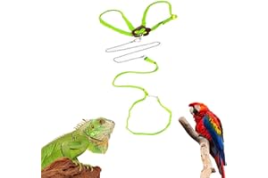 SAWYD Lizard Leash Bearded Dragon Harness Adjustable Reptile Lizard Harness Leash Parrot Harness Turtle Lizard, Suitable for Gecko Hamster Kitten Small Animal Outdoor Walking,Green