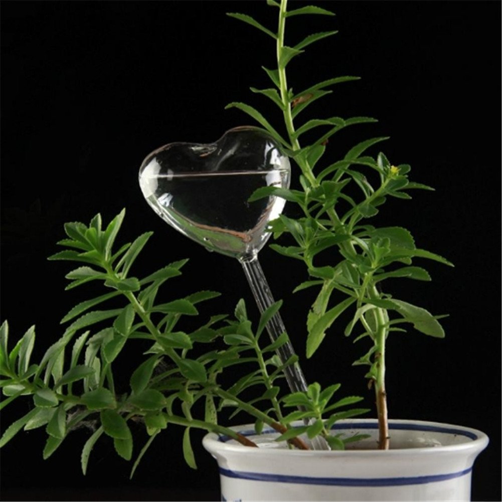 Mysterluna Glass Plant Water Feeder Flowers Drip Self Watering For