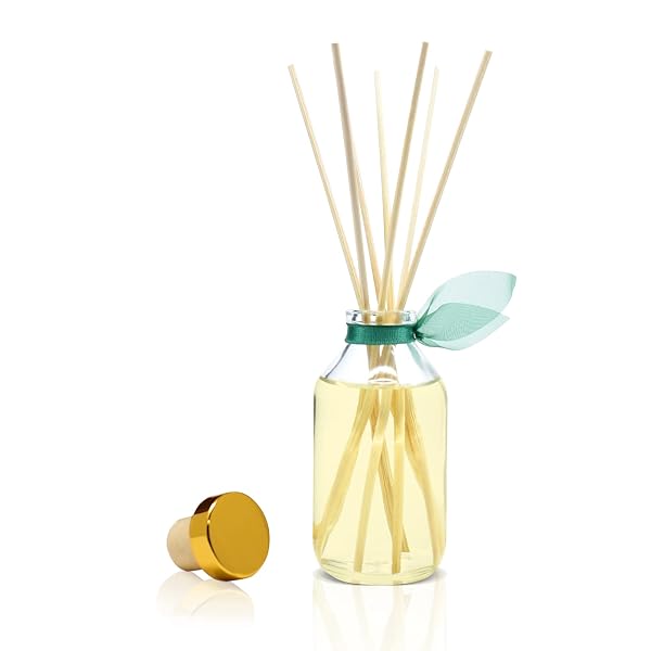 LOVSPA BIRCHWOOD PINE REED DIFFUSER SET, LIVING ROOM DECOR, HOME FRAGRANCE