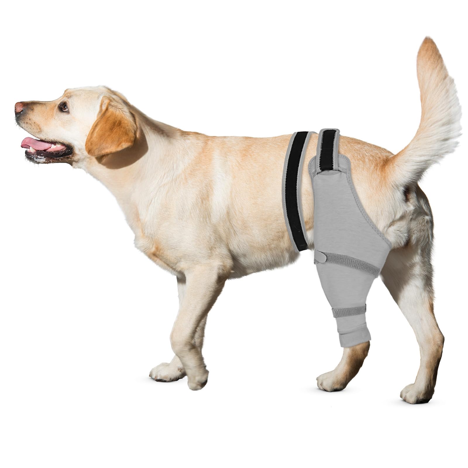 Photo 1 of Joypig Dog Rear Leg Sleeve to Stop Licking: Soft Recovery Wrap for Hind/Back Leg Wounds, TPLO ACL Surgery, Surgical Sleeve for Small Medium Large Dogs, Cone Alternative (Left-L, Light Gray)