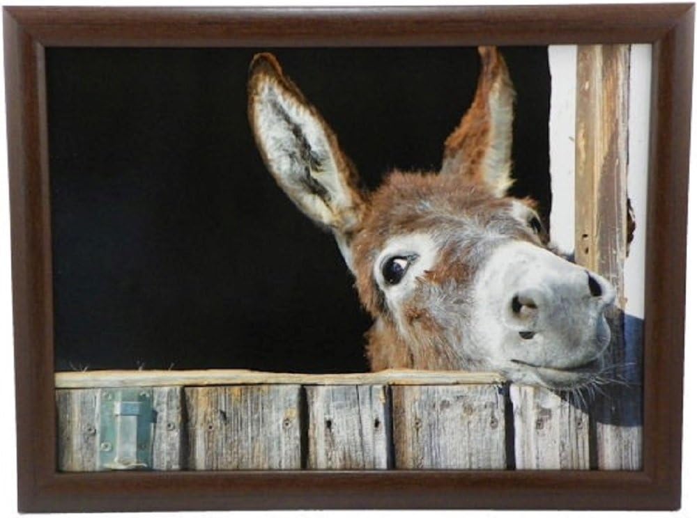 Lap Tray, Donkey Amazon.co.uk Kitchen & Home