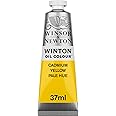Winsor & Newton Winton Oil Color, 37ml (1.25-oz) Tube, Cadmium Yellow Pale Hue