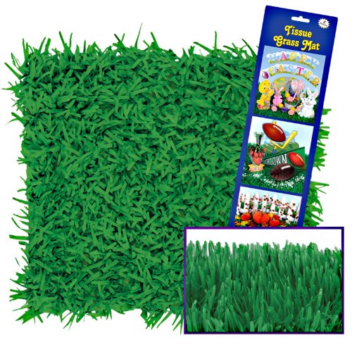 Group Holy Land Adventure Tissue Paper Grass Mat in the UAE. See prices
