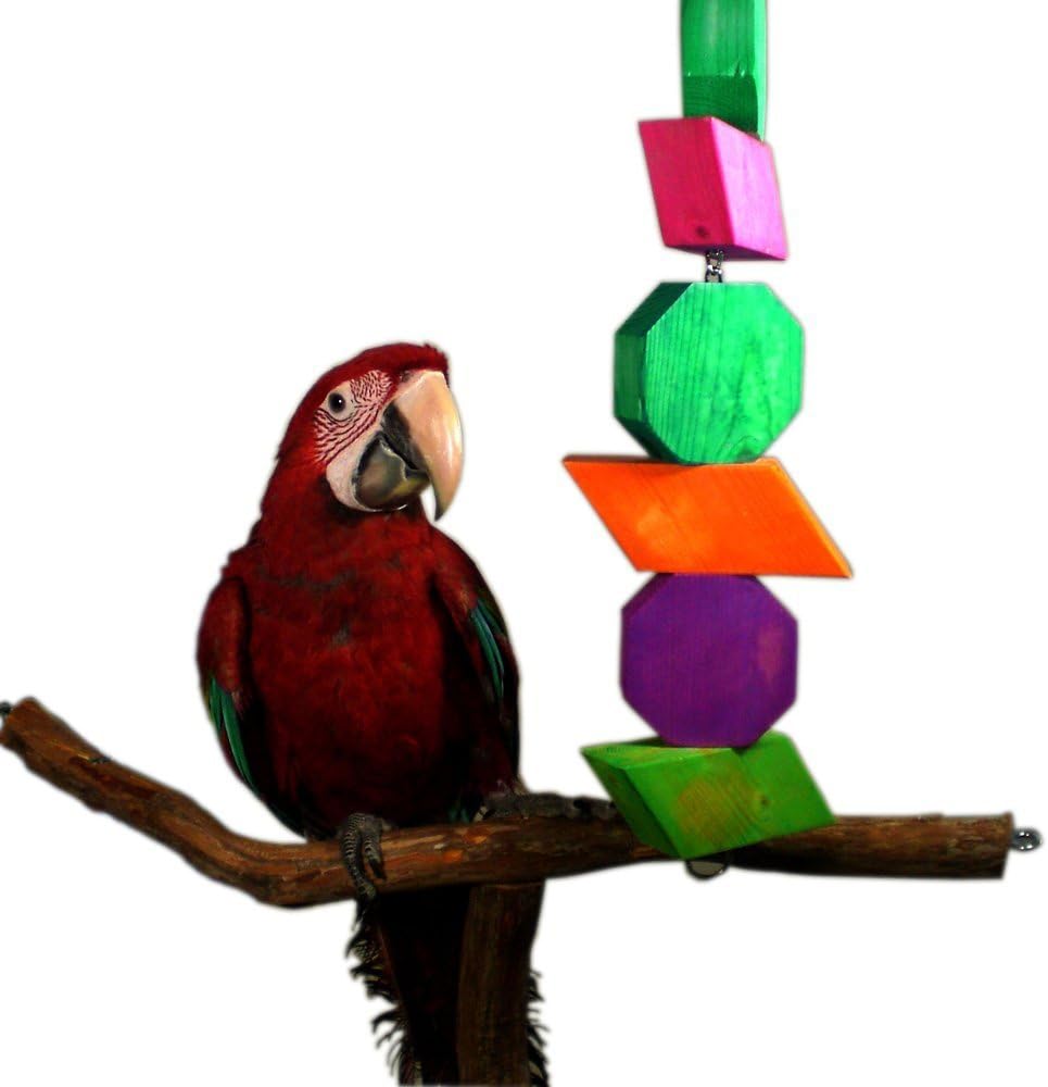 Bella BirdCo Large Bird Toy Amazon.ca Pet Supplies