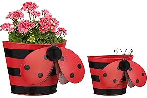 BAYN Set of 2 Ladybug Wall Hanging Planter Decor Art, Metal Wall Mounted Planters Garden Yard Decorative Flower Pot Indoor Outdoor Wall Planter Succulent Plant Container