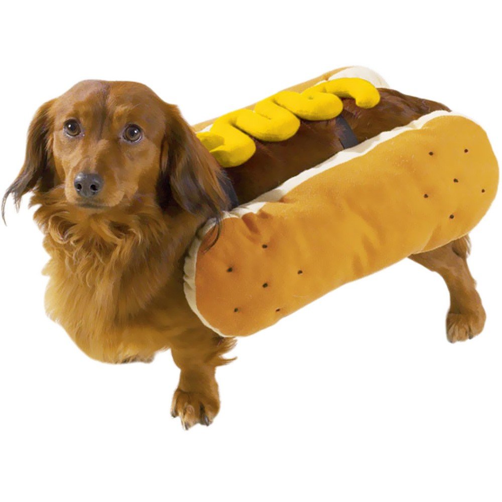 Casual Canine Hot Diggity Dog with Mustard Costume for Dogs, 12" Small