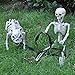 JOYIN Halloween Decoration 16” Pose-N-Stay Puppy Skeleton Plastic Dog Bones with Posable Joints for Pose Skeleton Prop Indoor/Outdoor Spooky Scene Party Favors Décor.