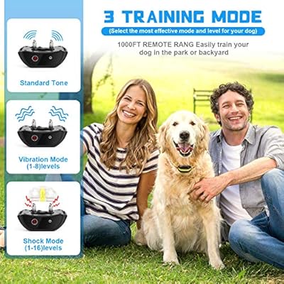 tone collar for dogs