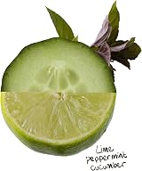 The Lab Co. Fabric & Room Spray 500ml | Anti-Bacterial | Lime Peppermin Cucumber view 4