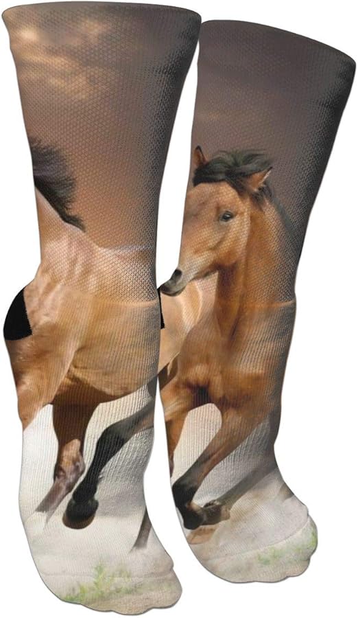 Running Horse Colorful Funky Socks For Men&women Cotton