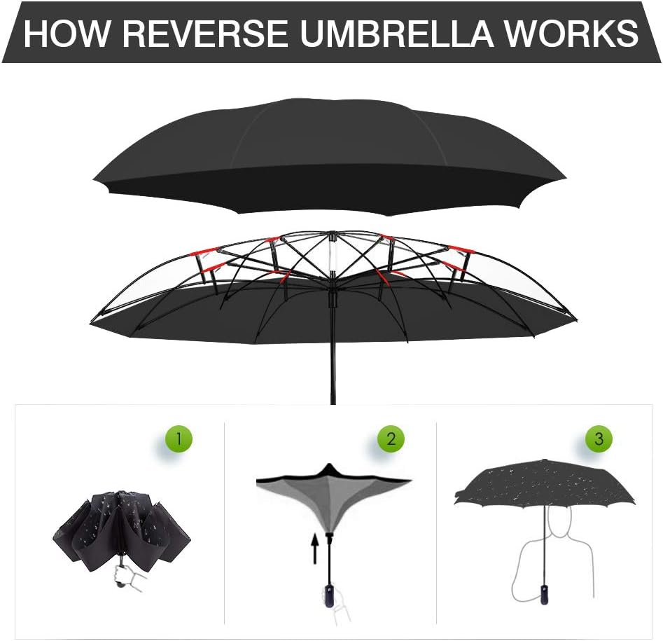 fidus umbrella