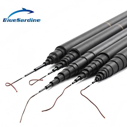carp fishing pole