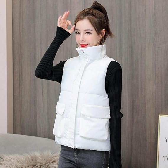 Amazon ダウンベスト レディース 秋冬ベスト女性カジュアルチョッキノースリーブジャケット女性服ベスト暖かい女性コートベストアウターウェア女性の屋外ジレットボディウォーマー ベスト 通販