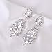 Miraculous Garden Women's Silver Gold Rose Gold Tone Plated Crystal Rhinestone Drop Earrings for Mother's Day (Silver tone plated white crystal)