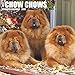 Just Chow Chows 2019 Wall Calendar (Dog Breed Calendar)