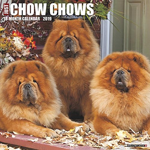 Just Chow Chows 2019 Calendar Calendar โ Wall Calendar, 27 July 2018