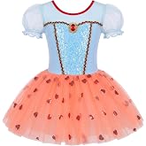 Mecceos Ballet Tutu for Girls Ballerina Swan Lake Costume Toddler Leotard Ballet Dance Costumes