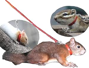 Ardilla Mascota Rata Hamster leashes Bird Flexible Tie plomo ...