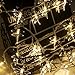String Lights Night Light Waterproof Dragonfly Lights String Plug in Powered Female Plug (MAX 10) String LED Lights Decorations Wedding Party Christmas (Warm White, 32Feet 100Led)