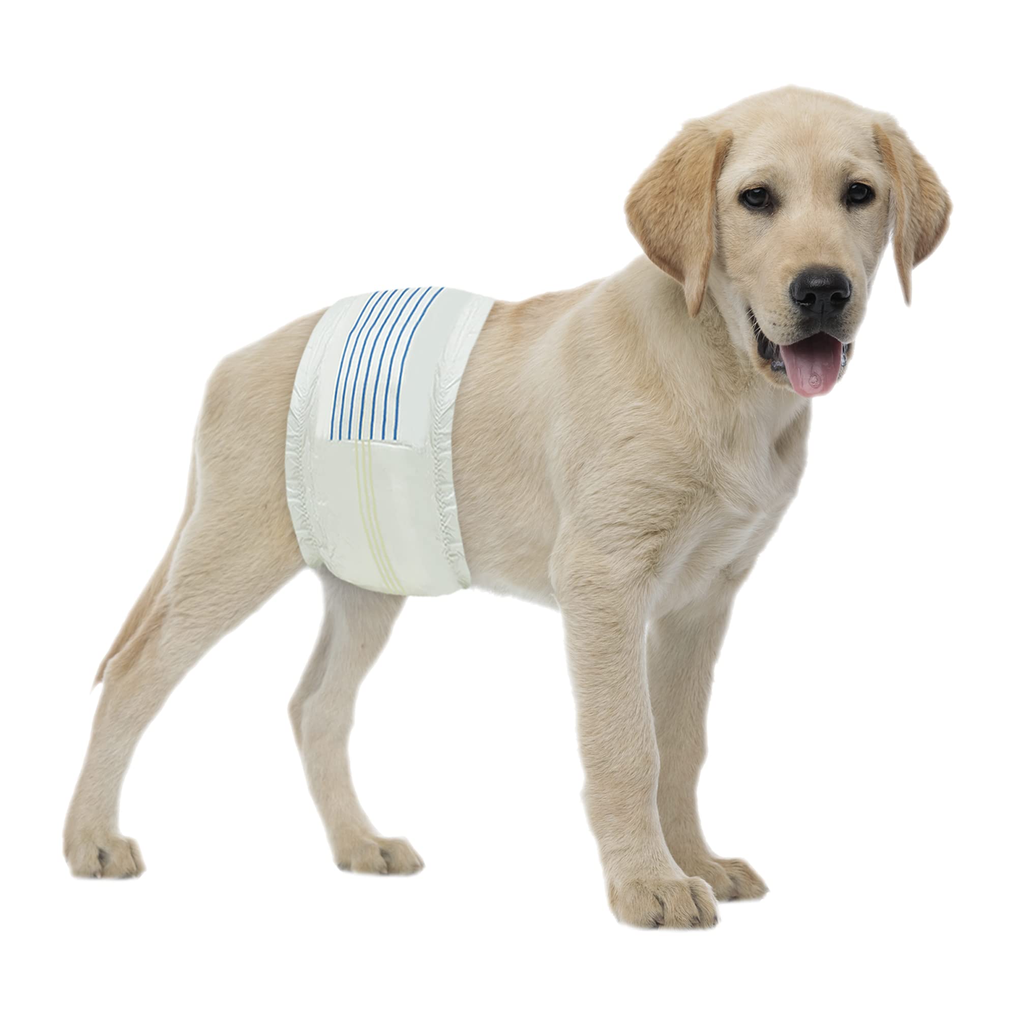 BV Dog Wraps Male Medium (Waist 13-23in) Super Absorbent - 400 Count Disposable - Doggie Diapers with Wetness Indicator - Adjustable Male Dog Wraps - Ideal for Incontinence/Training Image