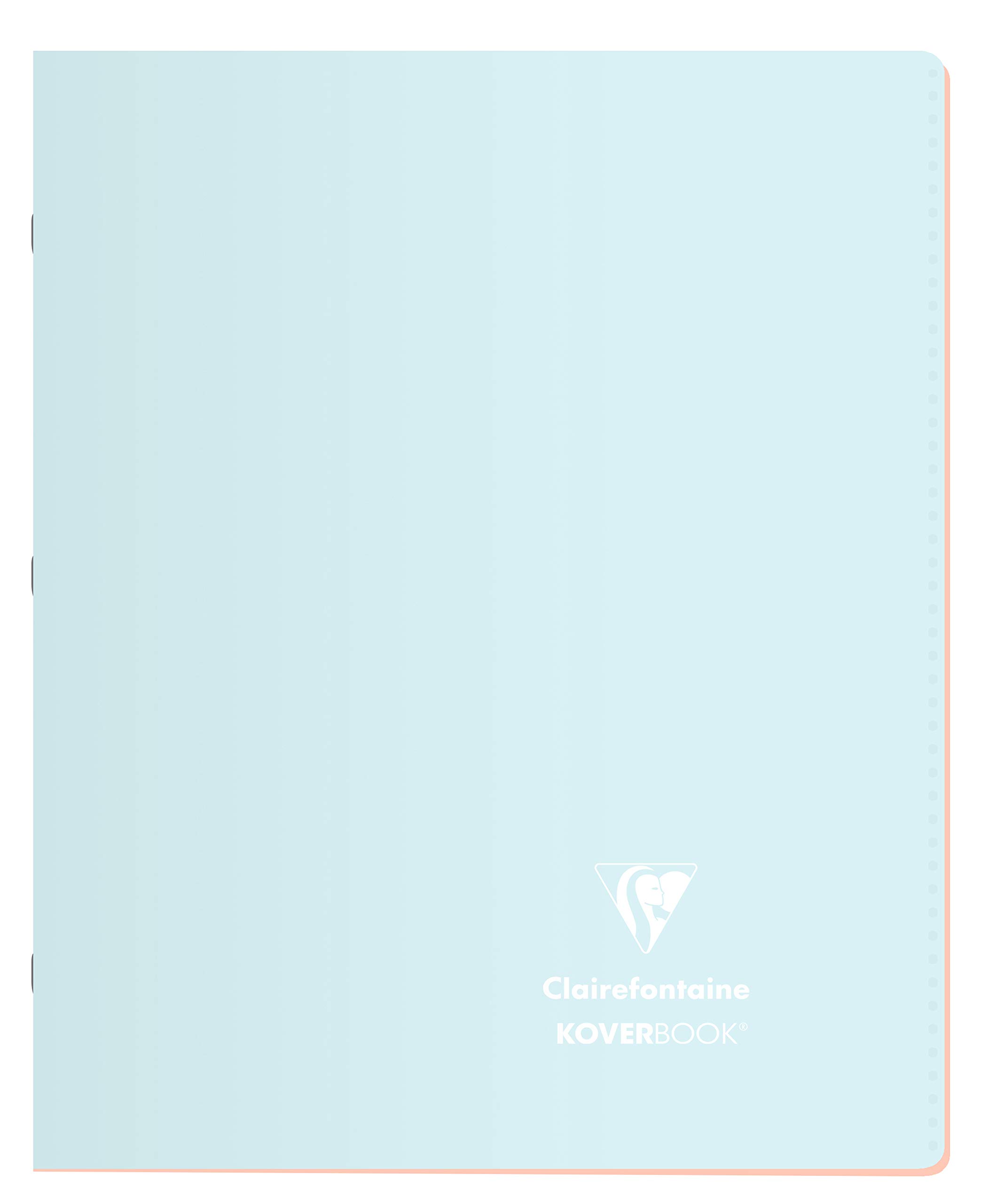 Clairefontaine 951481C Set of 10 Stapled Notebooks Koverbook Blush - 17x22 cm - 96 Seyes Ruled Pages - White Paper 90 g - Opaque Polypro Cover - Random Colours