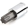 TEKTON 3/8 Inch Drive x T55 Torx Bit Socket | SHB14255