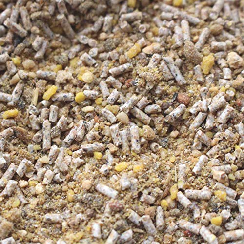 FutterXL 1kg Premium Aufzuchtfutter für Wachteln, Fasane und Küken - Top Geflügelfutter vom Profi – Bild 3