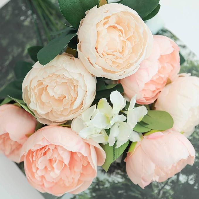 Product Image 1 Endless Summer Hydrangea Blushing Bride Endless