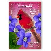 ILLINOIS BIRD AND FLOWER postcard set of 20 identical postcards. IL state symbols post cards. Made in USA.