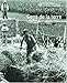 Gens de la terre : La France rurale : 1880 - 1940 by