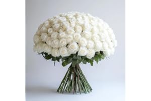 GLOBALROSE 100 White Roses - Fresh Flower- Next Day Delivery