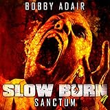 Sanctum: Slow Burn, Book 9