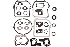 Tuzliufi Engine Rebuild Gasket Set Kit Compatible with B/S 297275 397144 495602 New Z441