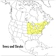 A Peterson Field Guide To Trees And Shrubs: Northeastern and north-central United States and southeastern and south-centralCa