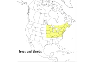 A Peterson Field Guide To Trees And Shrubs: Northeastern and North-Central United States and Southeastern and South-Central C
