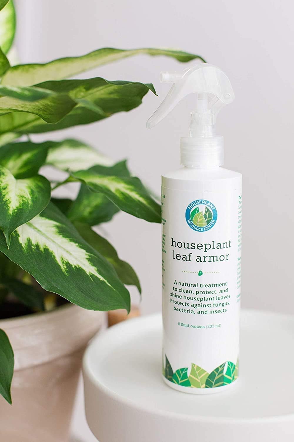 Leaf Armour by Houseplant Resource Center - Image 3