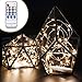 BlueWind 33ft 100leds Led String Lights Copper Wire LED Starry Light with 5V Power Adapter and a Remote Control (Warm White)