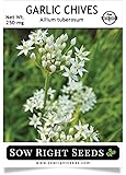 Sow Right Seeds - Garlic Chives Seed for Planting - Non-GMO Heirloom Seeds with Full Instructions for Planting an Easy to Grow Kitchen Garden, Indoor or Outdoor; Great Gift